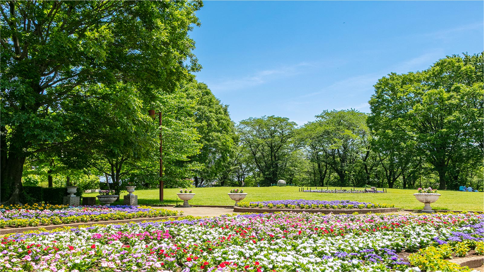 智光山公園（自転車16分・車で約6分／約3.8km）