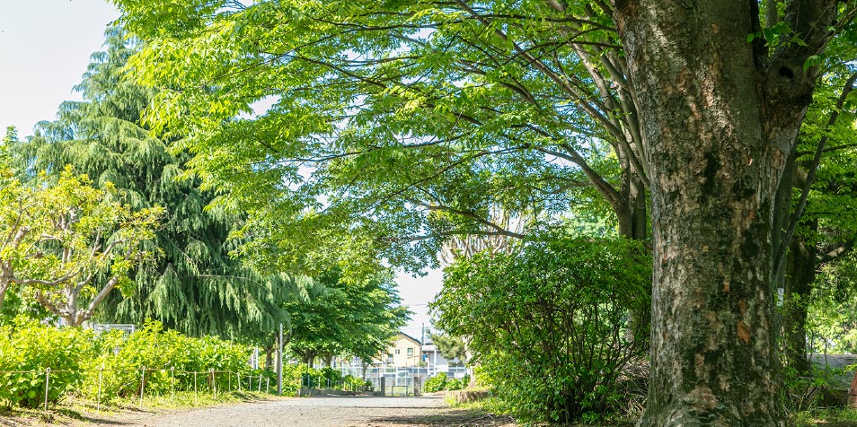 中原公園（徒歩6分／約470m）